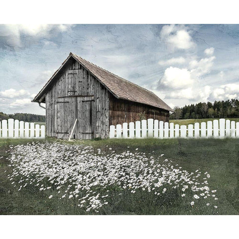 White Fence Black Modern Wood Framed Art Print by Allen, Kimberly