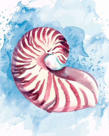 Coast Shell Pastel 1 White Modern Wood Framed Art Print with Double Matting by Allen, Kimberly