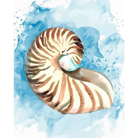 Coast Shell 1 White Modern Wood Framed Art Print by Allen, Kimberly