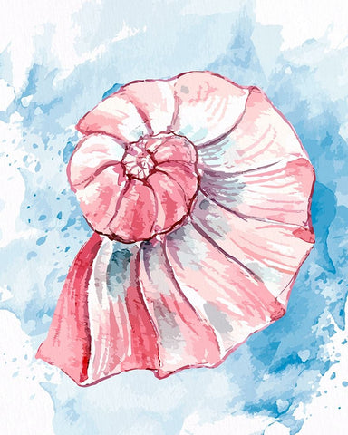 Coast Shell Pastel 2 Black Ornate Wood Framed Art Print with Double Matting by Allen, Kimberly