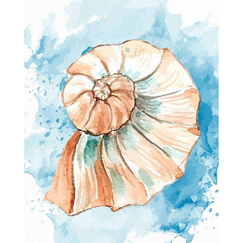 Coast Shell 2 Gold Ornate Wood Framed Art Print with Double Matting by Allen, Kimberly