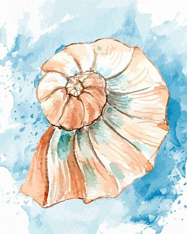 Coast Shell 2 White Modern Wood Framed Art Print with Double Matting by Allen, Kimberly