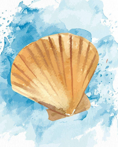 Coast Shell 3 White Modern Wood Framed Art Print with Double Matting by Allen, Kimberly