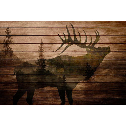 Elk Woods Gold Ornate Wood Framed Art Print with Double Matting by Allen, Kimberly