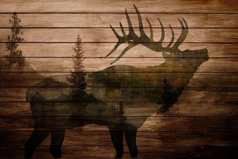 Elk Woods White Modern Wood Framed Art Print with Double Matting by Allen, Kimberly
