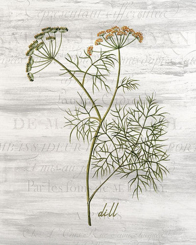 Fresh Cut Herbs 1 Black Ornate Wood Framed Art Print with Double Matting by Allen, Kimberly