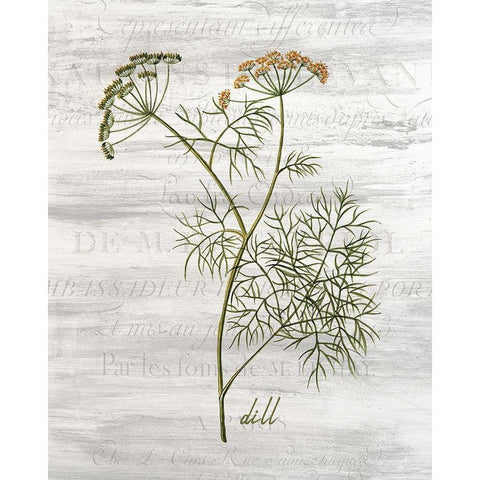 Fresh Cut Herbs 1 Black Modern Wood Framed Art Print by Allen, Kimberly