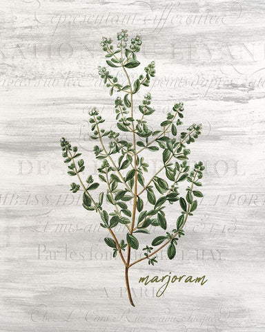 Fresh Cut Herbs 4 Black Ornate Wood Framed Art Print with Double Matting by Allen, Kimberly