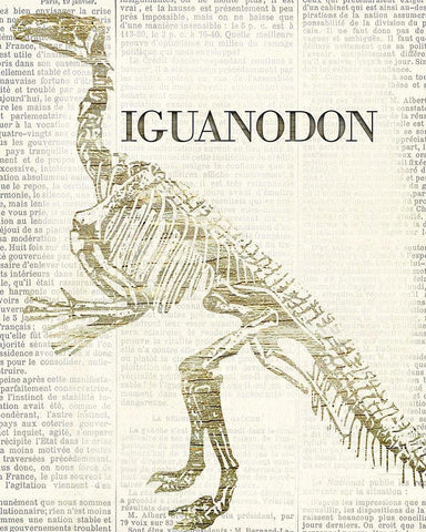 Iguanodon White Modern Wood Framed Art Print with Double Matting by Allen, Kimberly