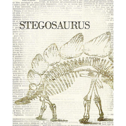 Stegosaurus Black Modern Wood Framed Art Print with Double Matting by Allen, Kimberly