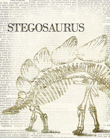 Stegosaurus White Modern Wood Framed Art Print with Double Matting by Allen, Kimberly