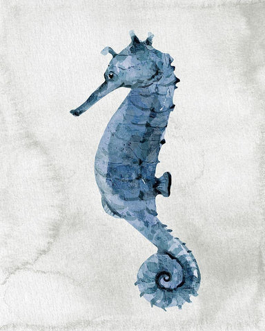 Sea Life 1 Black Ornate Wood Framed Art Print with Double Matting by Allen, Kimberly