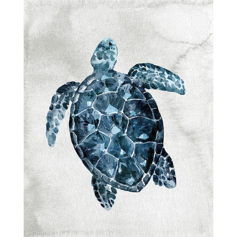 Sea Life 2 Black Modern Wood Framed Art Print by Allen, Kimberly