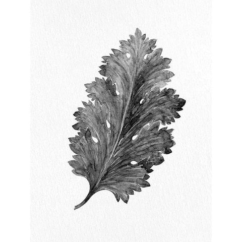 Acanthus Leaf 2 White Modern Wood Framed Art Print by Allen, Kimberly