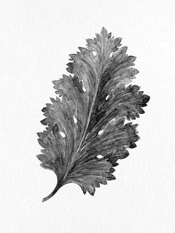 Acanthus Leaf 2 White Modern Wood Framed Art Print with Double Matting by Allen, Kimberly