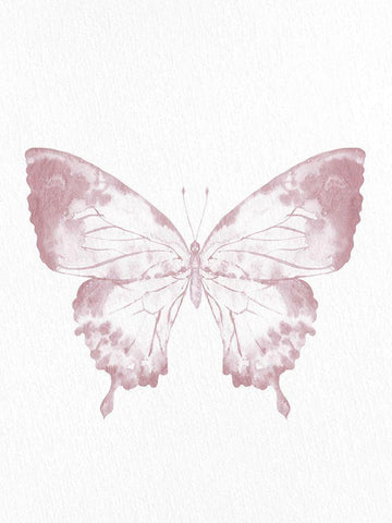 Pressed Butterfly 1 White Modern Wood Framed Art Print with Double Matting by Allen, Kimberly