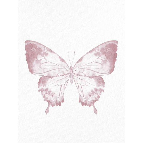 Pressed Butterfly 1 Black Modern Wood Framed Art Print by Allen, Kimberly