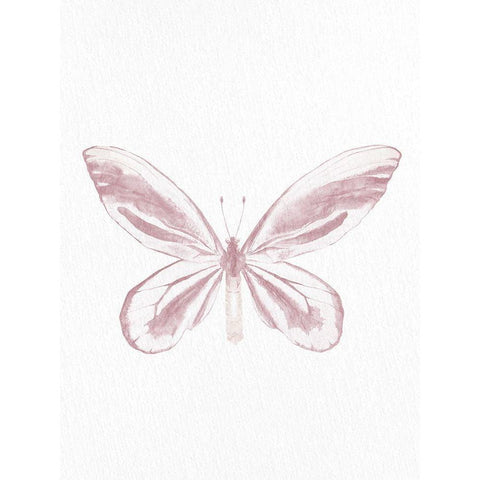 Pressed Butterfly 2 White Modern Wood Framed Art Print by Allen, Kimberly