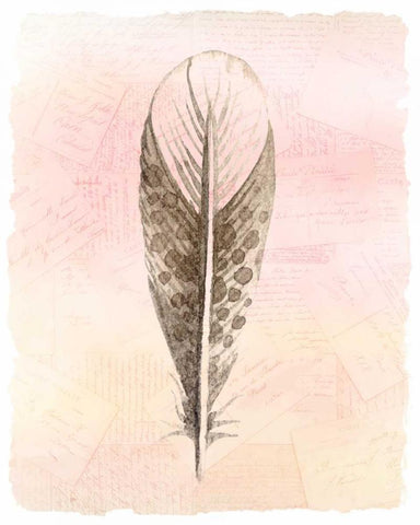 Spring Feather 3 White Modern Wood Framed Art Print with Double Matting by Allen, Kimberly