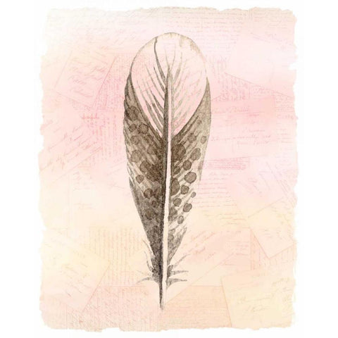 Spring Feather 3 Black Modern Wood Framed Art Print with Double Matting by Allen, Kimberly