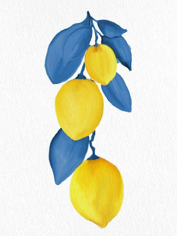 Lemon Vine 1 White Modern Wood Framed Art Print with Double Matting by Allen, Kimberly