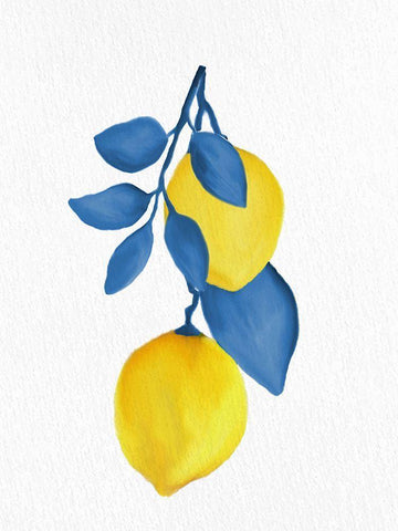 Lemon Vine 2 White Modern Wood Framed Art Print with Double Matting by Allen, Kimberly