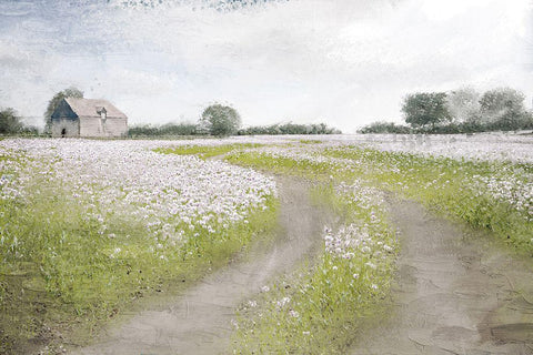 Country Roads Black Ornate Wood Framed Art Print with Double Matting by Allen, Kimberly