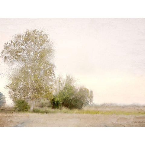 Countryside Black Modern Wood Framed Art Print by Allen, Kimberly
