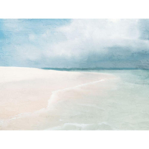 Stormy Beach Black Modern Wood Framed Art Print with Double Matting by Allen, Kimberly