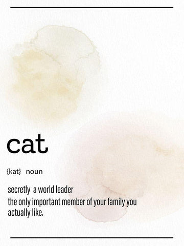 Cat Definition White Modern Wood Framed Art Print with Double Matting by Allen, Kimberly