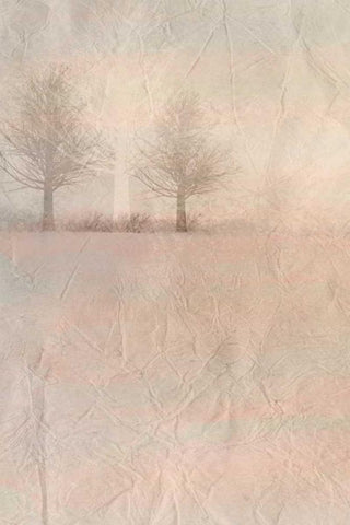 Dawn of Day 1 White Modern Wood Framed Art Print with Double Matting by Allen, Kimberly