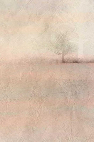 Dawn of Day 2 Black Ornate Wood Framed Art Print with Double Matting by Allen, Kimberly