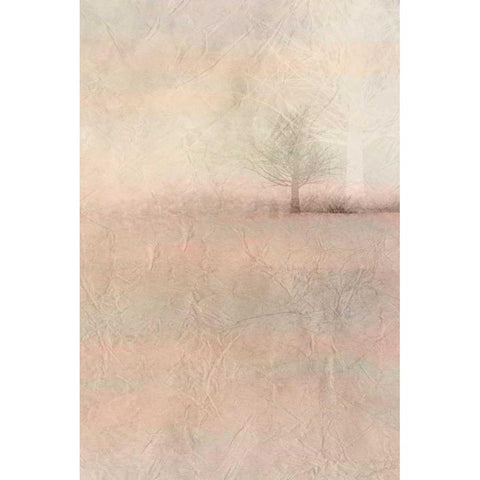 Dawn of Day 2 White Modern Wood Framed Art Print by Allen, Kimberly