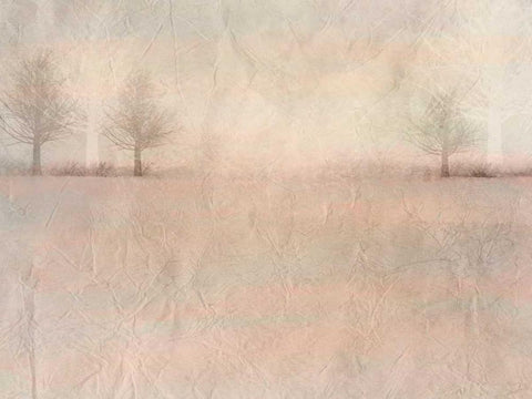 Dawn of Day 3 Black Ornate Wood Framed Art Print with Double Matting by Allen, Kimberly