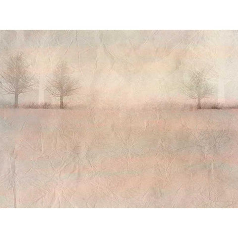 Dawn of Day 3 Black Modern Wood Framed Art Print by Allen, Kimberly