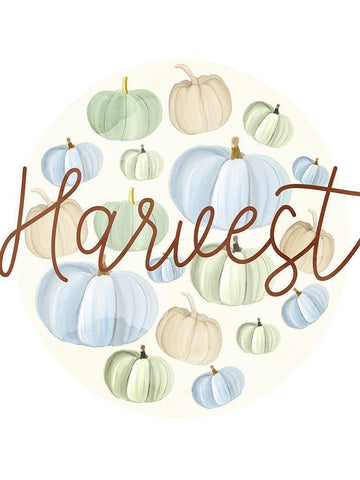 Harvest Pumpkins White Modern Wood Framed Art Print with Double Matting by Allen, Kimberly