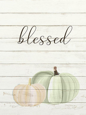 Grateful Pumpkins 3 White Modern Wood Framed Art Print with Double Matting by Allen, Kimberly