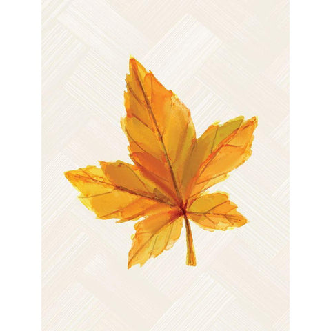 Fall Leaves 1 Black Modern Wood Framed Art Print with Double Matting by Allen, Kimberly