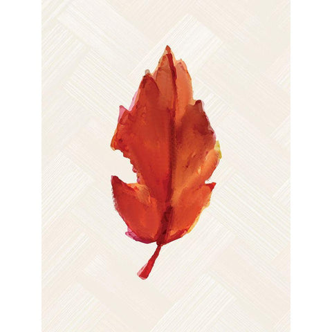 Fall Leaves 2 White Modern Wood Framed Art Print by Allen, Kimberly