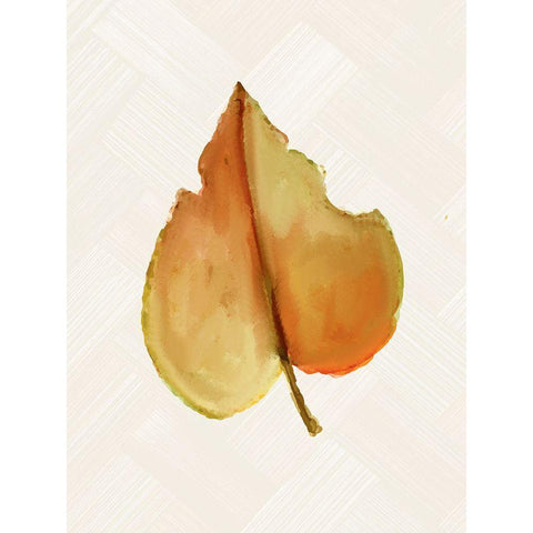 Fall Leaves 3 White Modern Wood Framed Art Print by Allen, Kimberly