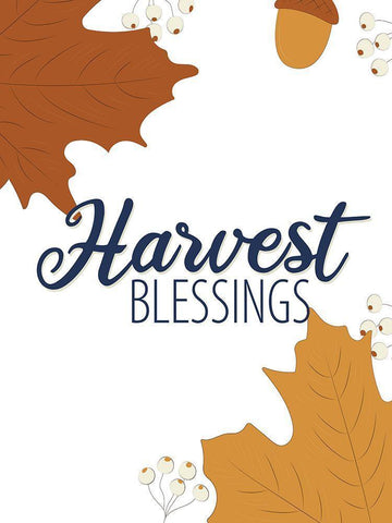 Autumn Harvest 3 White Modern Wood Framed Art Print with Double Matting by Allen, Kimberly