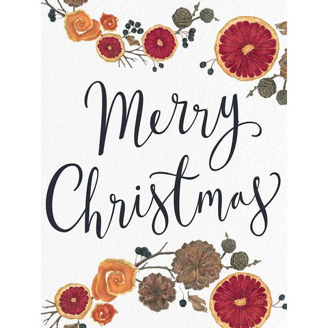 Merry Christmas Dried Fruit Black Modern Wood Framed Art Print with Double Matting by Allen, Kimberly