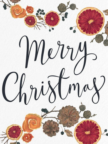 Merry Christmas Dried Fruit Black Ornate Wood Framed Art Print with Double Matting by Allen, Kimberly