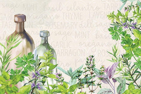 Fresh Herbs 5 White Modern Wood Framed Art Print with Double Matting by Allen, Kimberly