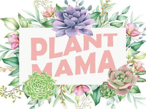 Plant Mama Black Ornate Wood Framed Art Print with Double Matting by Allen, Kimberly