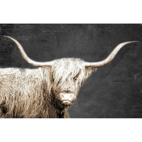 In the Highlands Black Modern Wood Framed Art Print with Double Matting by Allen, Kimberly