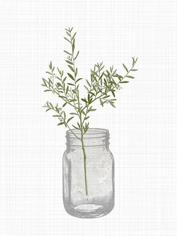 Jar Herbs 1 White Modern Wood Framed Art Print with Double Matting by Allen, Kimberly