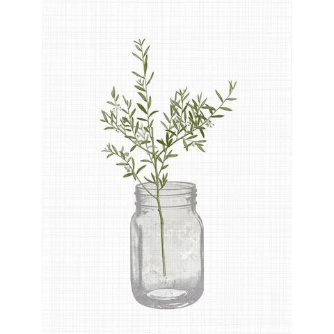 Jar Herbs 1 White Modern Wood Framed Art Print by Allen, Kimberly