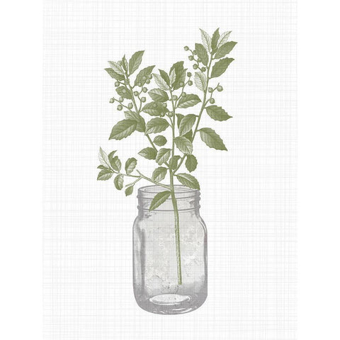 Jar Herbs 2 White Modern Wood Framed Art Print by Allen, Kimberly