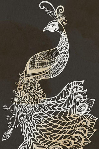 Monotone Peacock White Modern Wood Framed Art Print with Double Matting by Allen, Kimberly